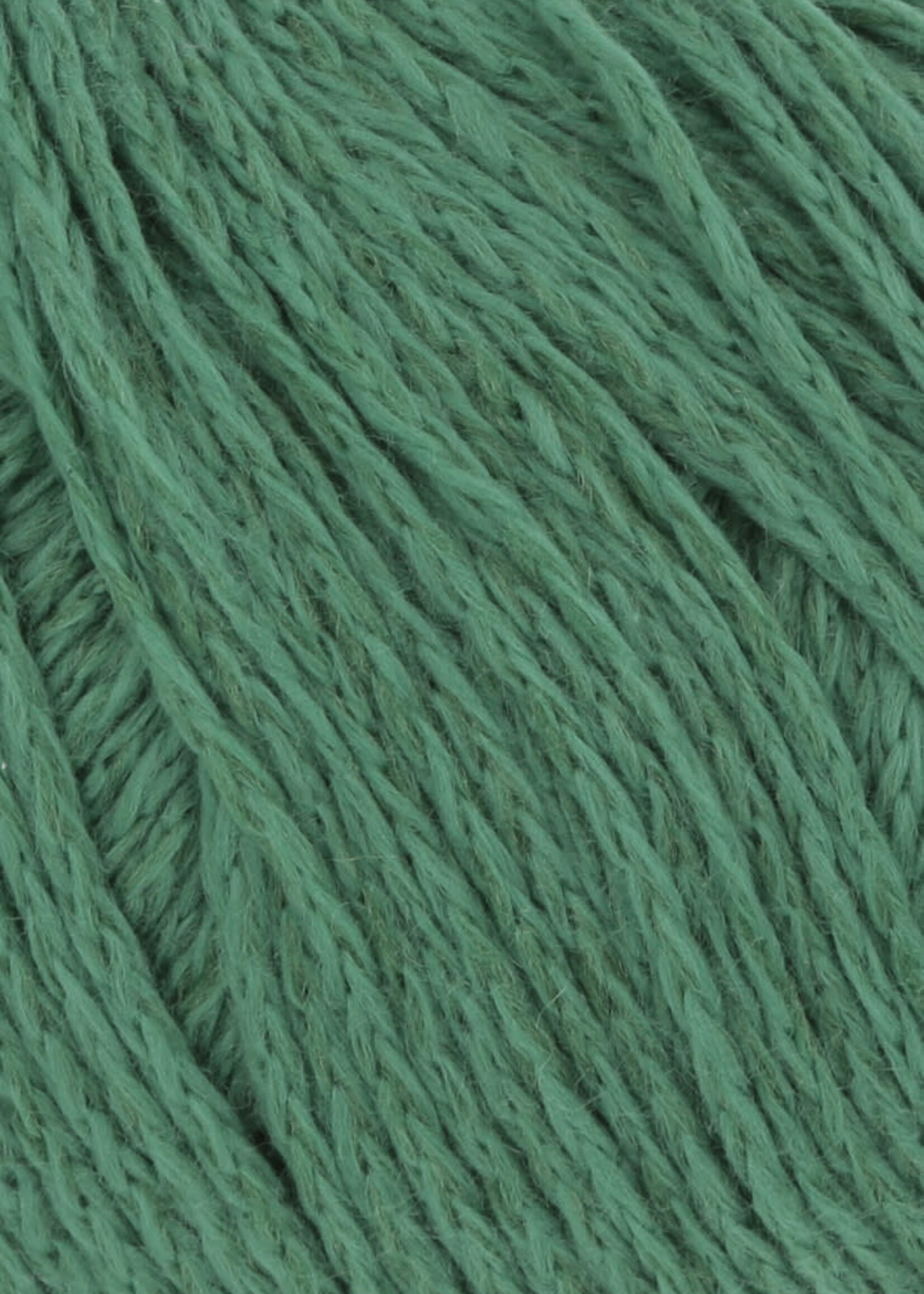 Lang Lang Yarns Venus | 0017 groen