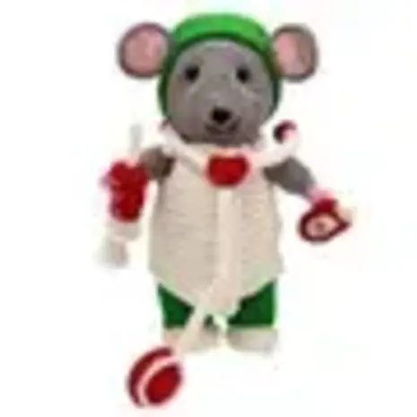 Zorgmuis Dokter en Zieke Muis - L. & A. de Vries Zorgmuis Dokter en Zieke Muis - L. & A. de Vries