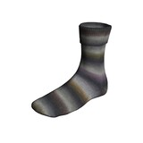 Lang Lang Yarns SuperSoxx Silk | 0463