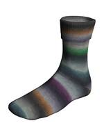 Lang Lang Yarns SuperSoxx Silk | 0466
