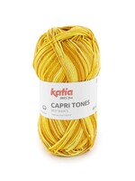 Katia Katia Capri Tones | 300