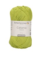 Schachenmayr Schachenmayr Catania | 298
