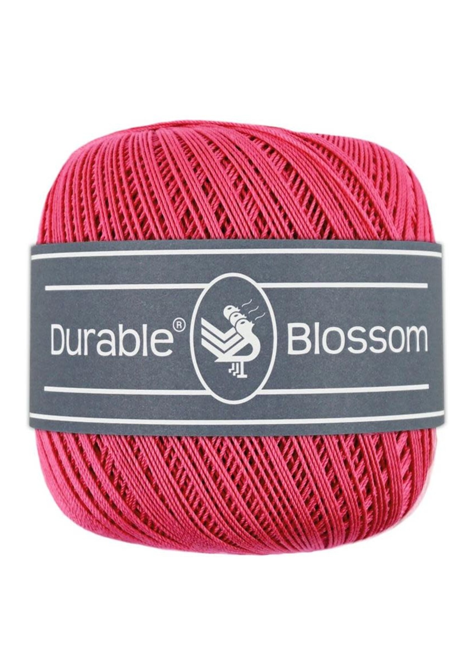 Durable Durable Blossom | 221 Holly Berry
