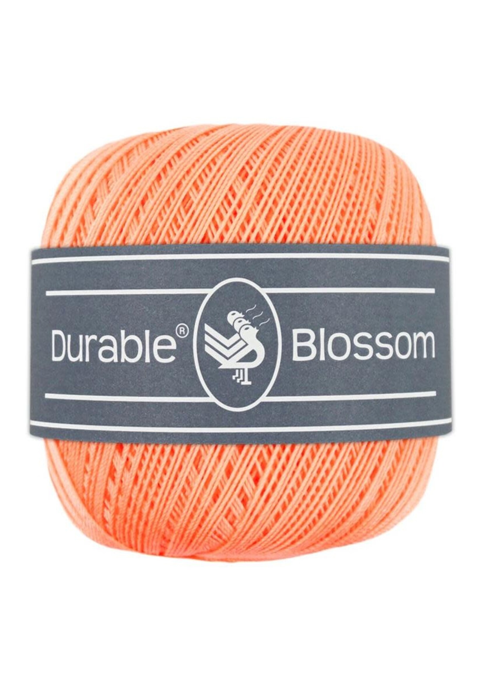 Durable Durable Blossom | 2195 Apricot