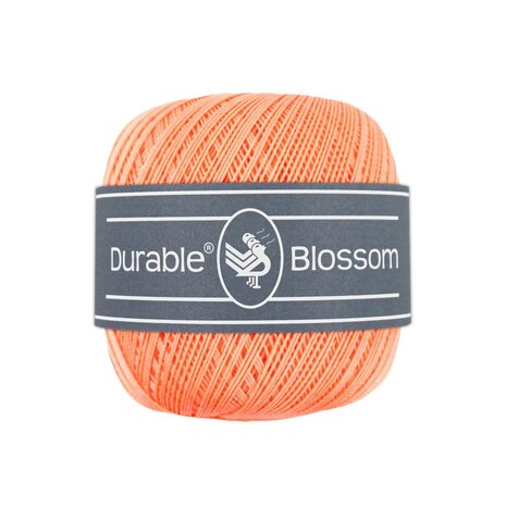 Durable Durable Blossom | 2195 Apricot