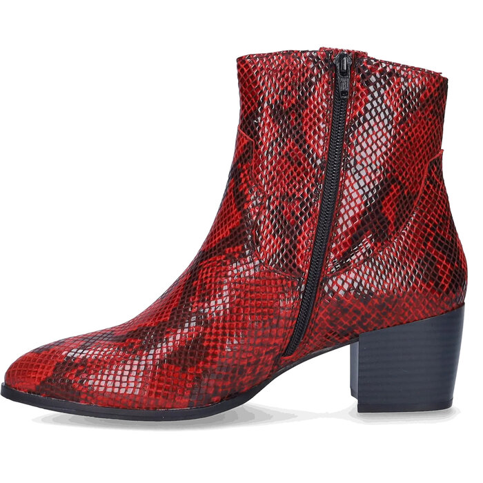 Epirus Epirus - Bordo