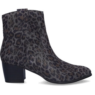 Montpelier Montpelier - Grey