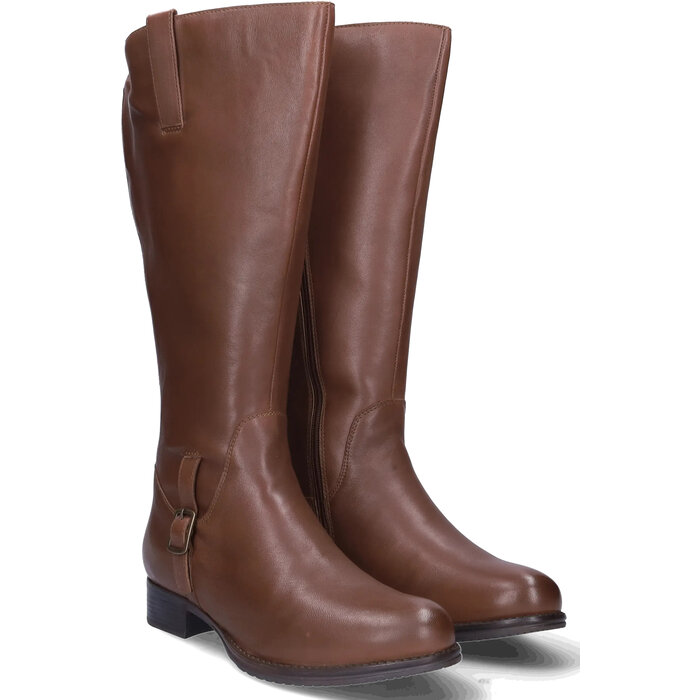 Chinley Chinley - Cognac