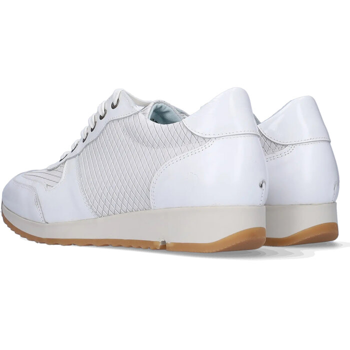 Bermuda Bermuda - Wit/Offwhite