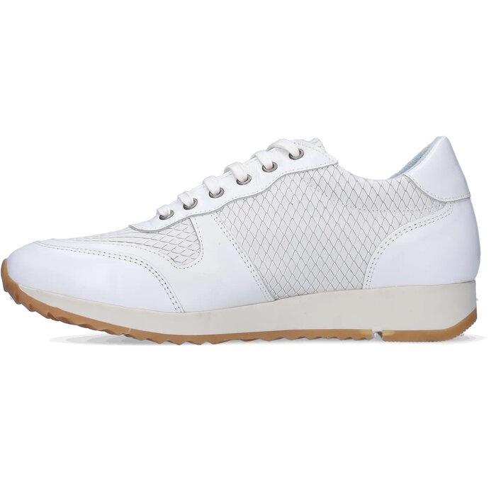 Bermuda Bermuda - Wit/Offwhite