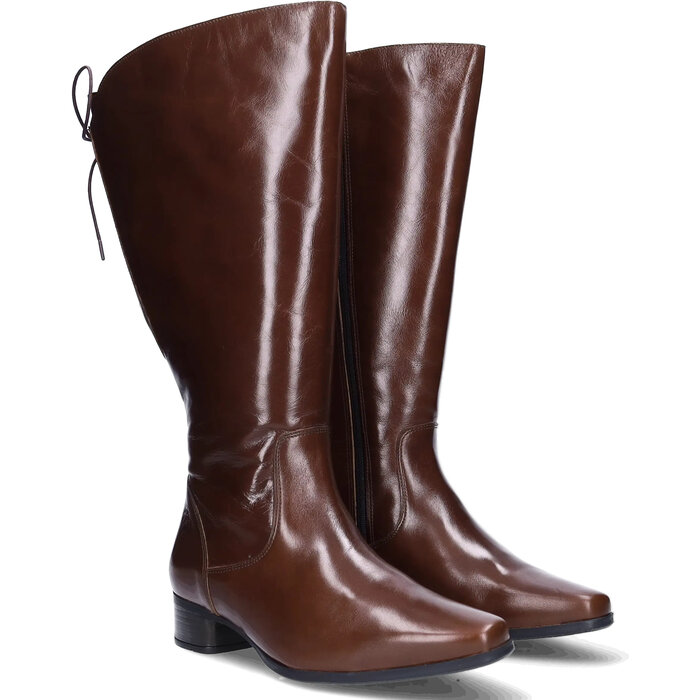 Cardiff Cardiff - Cognac