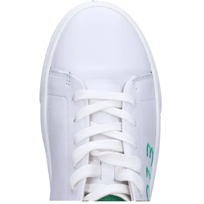 Tilburg Tilburg - Wit/Groen