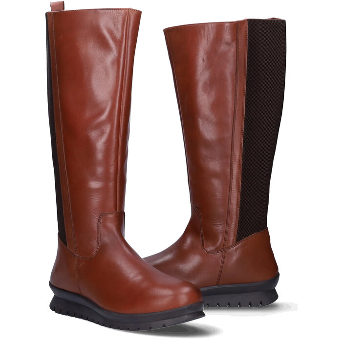 Alfreton Alfreton - Cognac