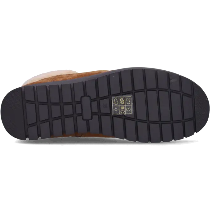 Fleet Fleet - Cognac