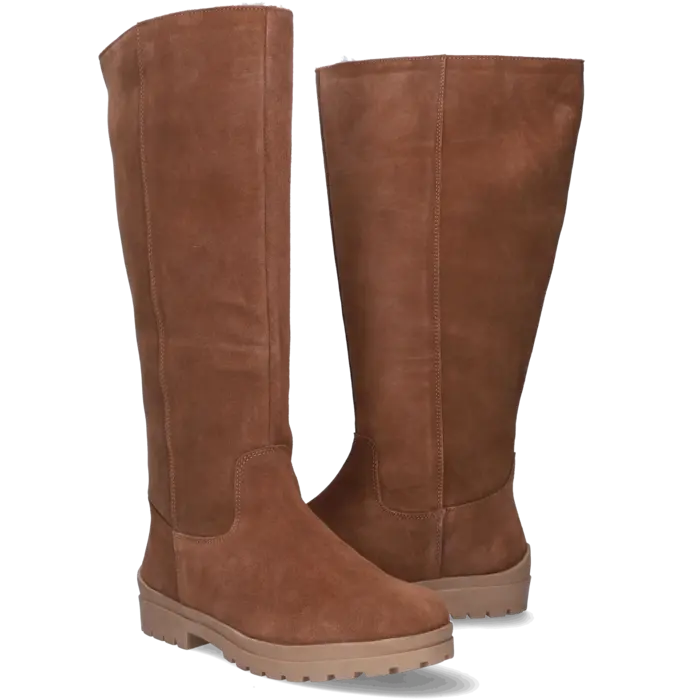 Bideford Bideford - Cognac