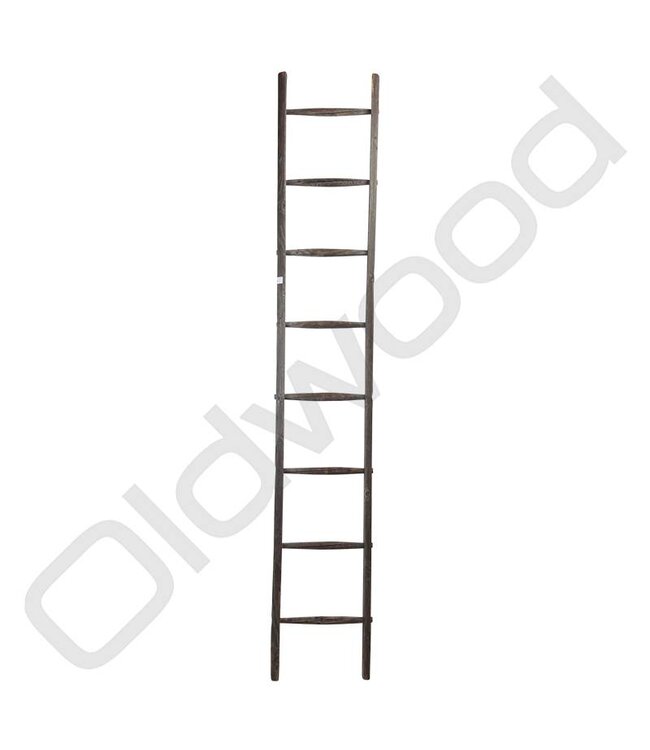 Vintage ladder