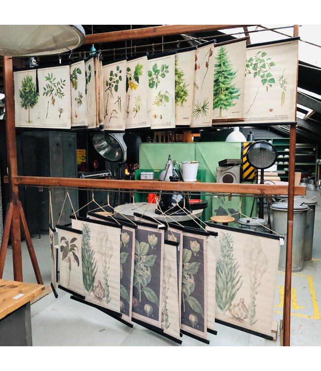 Botanical school cards