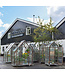 Vintage greenhouse / old greenhouse