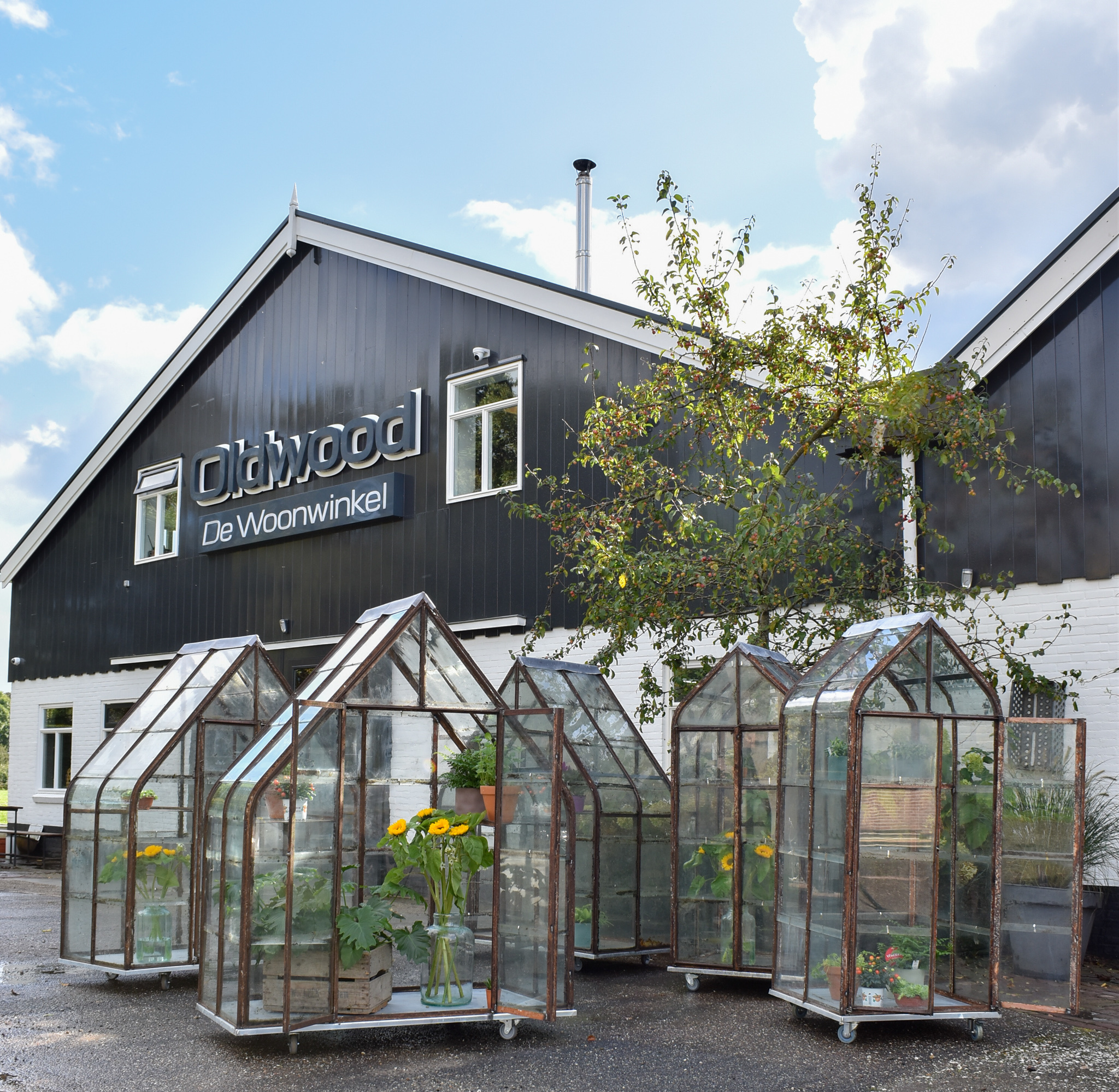 Vintage greenhouse / oude kas handgemaakt Oldwood de Woonwinkel