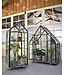 Vintage greenhouse / old greenhouse