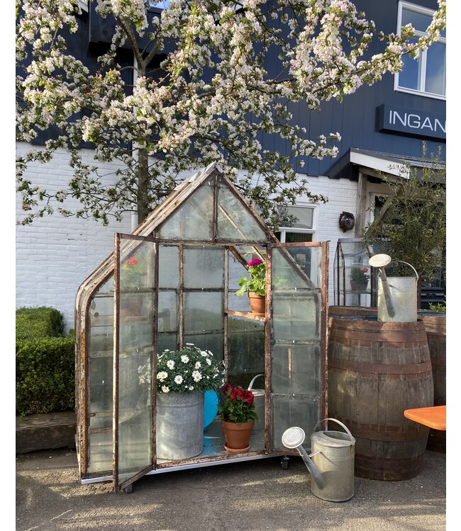 Vintage Gewächshaus / altes Gewächshaus