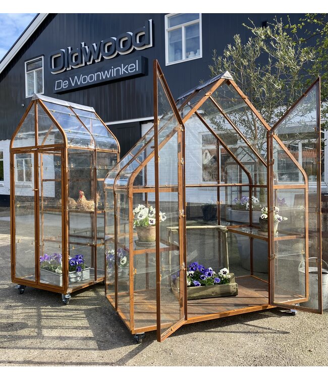 Greenhouse - Growing House - Greenhouse - Plant House
