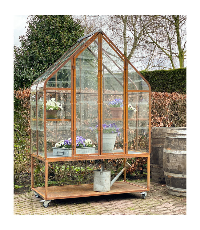 Tuinkas - Kweekkas - Greenhouse - Plantenkas