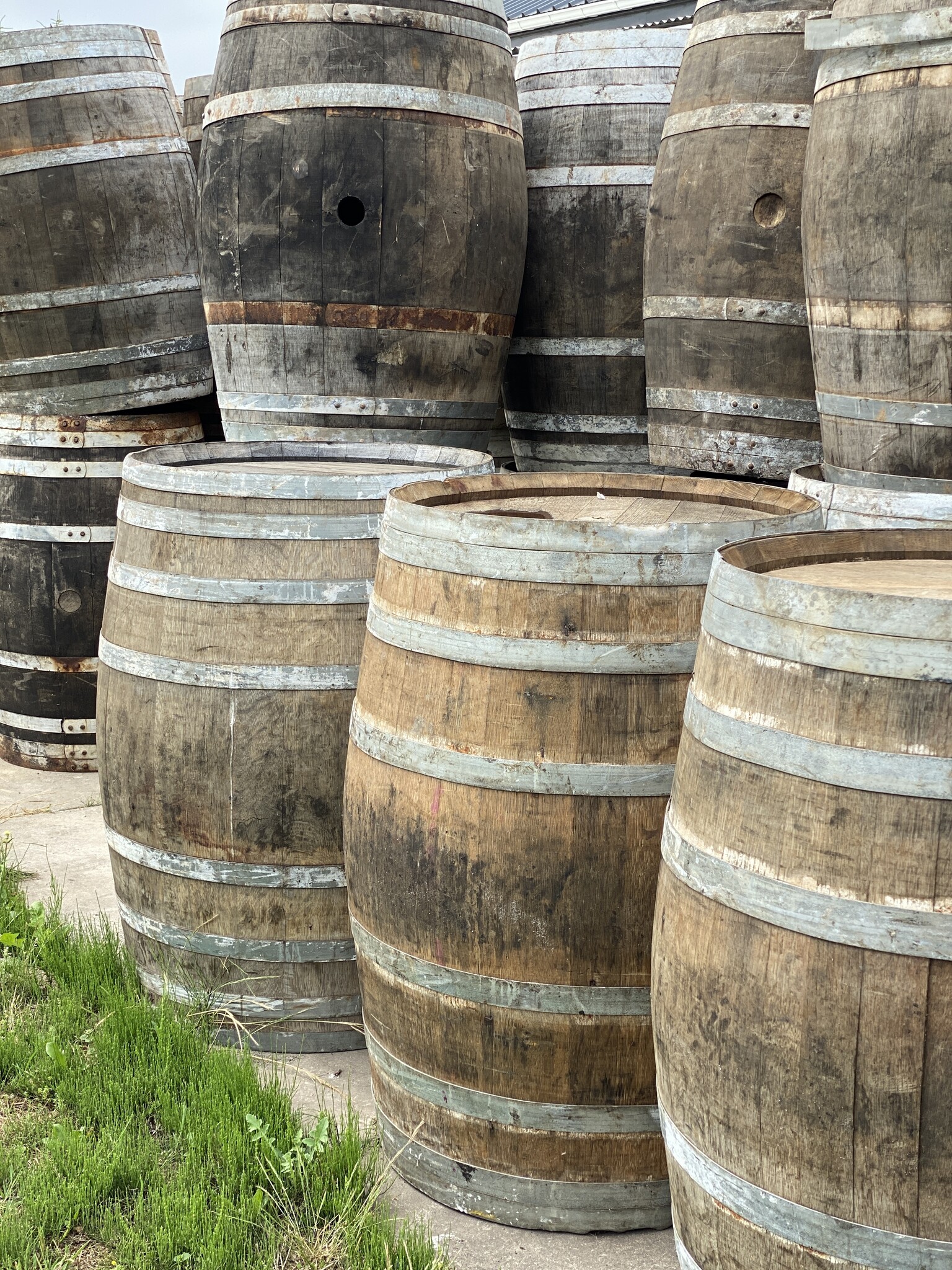 Oldwood Large wine barrel Oldwood the furniture store