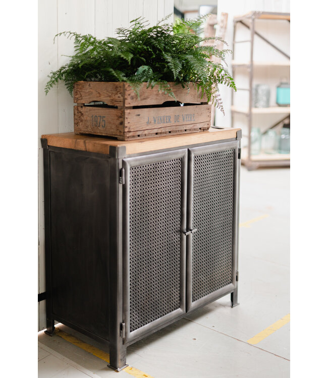 Industrial mesh cabinet