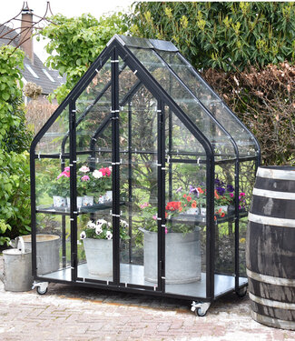 Tuinkas - Kweekkas - Greenhouse - Plantenkas  - black