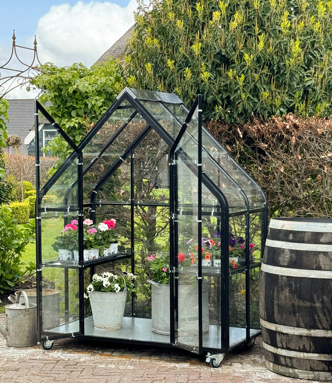 Greenhouse - Growing House - Greenhouse - Plant House