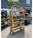 Garden plant rack