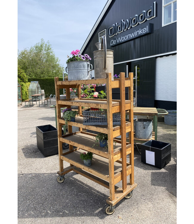Garden plant rack