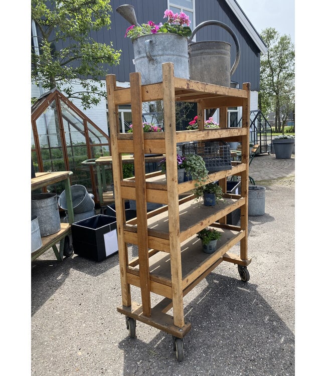 Garden plant rack