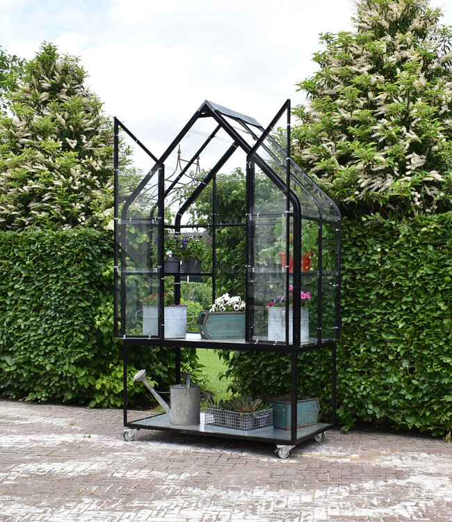 Tuinkas - Kweekkas - Greenhouse - Plantenkas  - zwart gepoedercoat