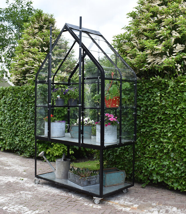 Tuinkas - Kweekkas - Greenhouse - Plantenkas  - zwart gepoedercoat