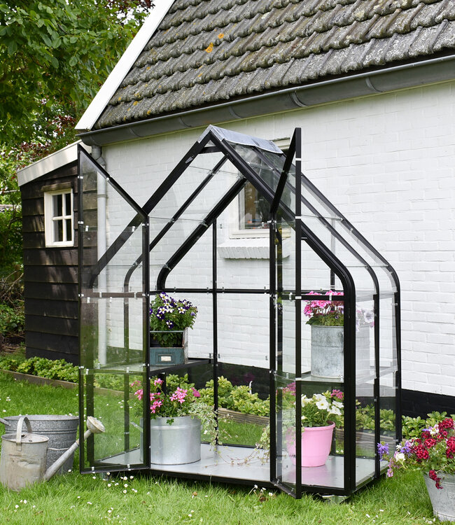 Greenhouse - Growing House - Greenhouse - Plant House