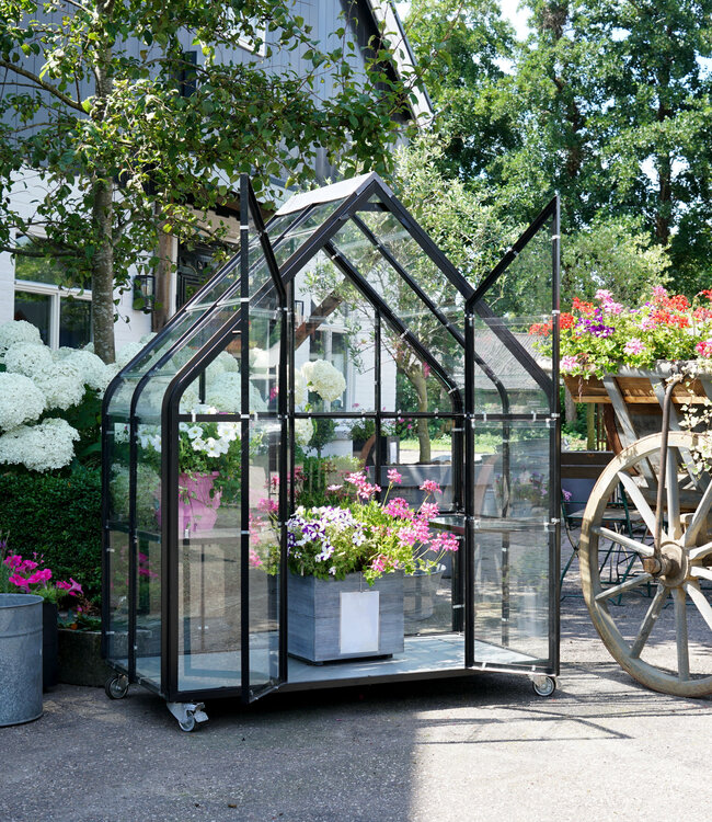 Tuinkas - Kweekkas - Greenhouse - Plantenkas