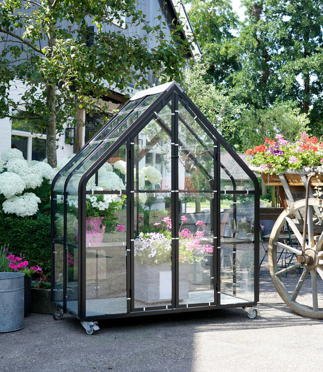 Greenhouse - Growing House - Greenhouse - Plant House
