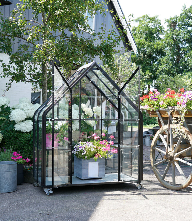 Tuinkas - Kweekkas - Greenhouse - Plantenkas