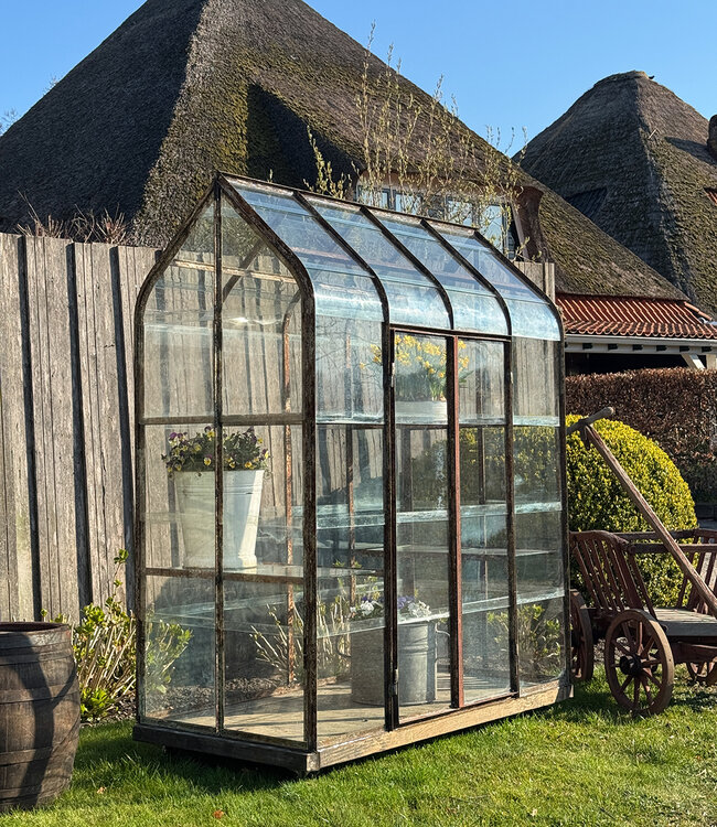 Greenhouse - Plant greenhouse - Garden greenhouse