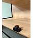 Steel display cabinet Breda - in any RAL color