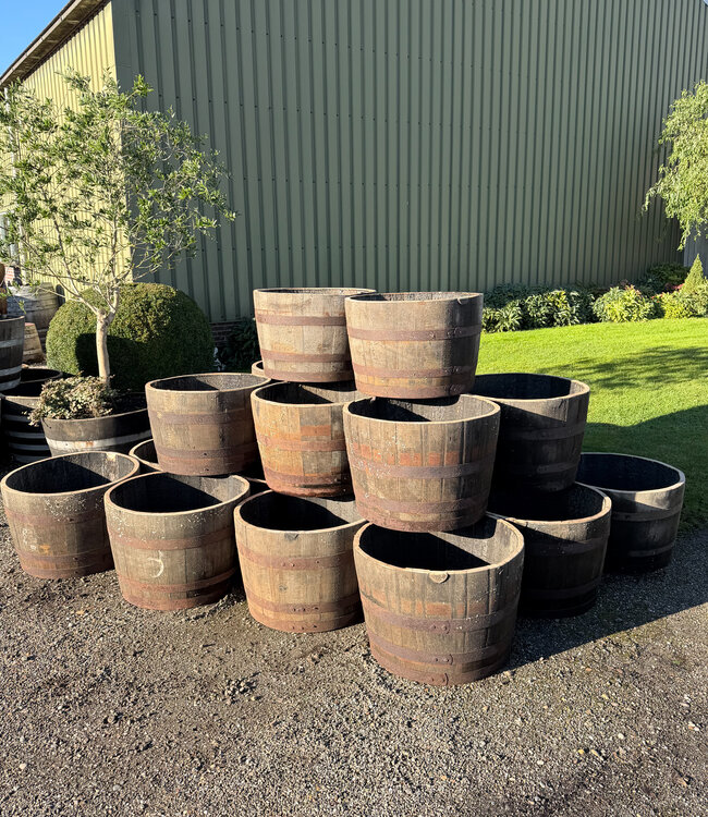 Halbes Whiskyfass, Weinfass, Eichenpflanzgefäß