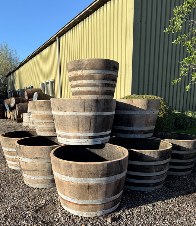 Halbes Whiskyfass, Weinfass, Eichenpflanzgefäß