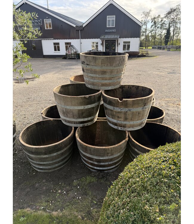 Halbes Whiskyfass, Weinfass, Eichenpflanzgefäß