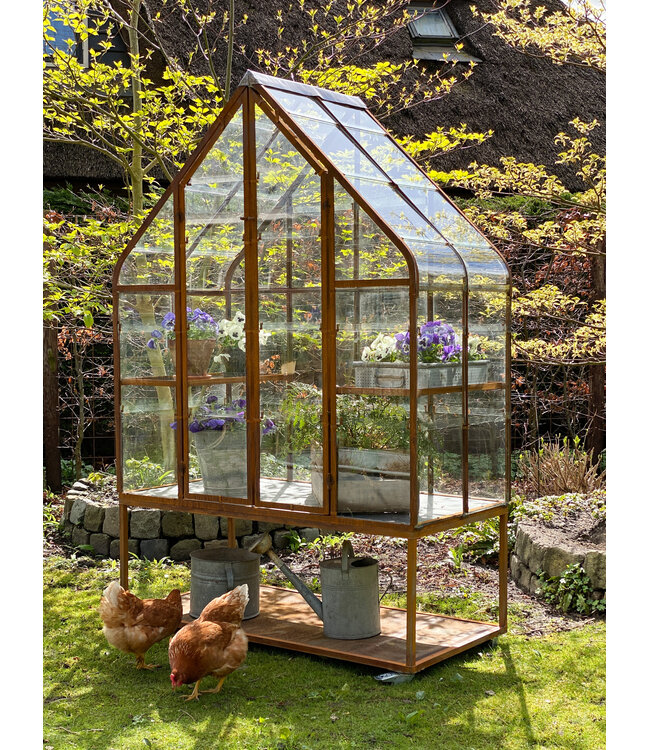 Greenhouse - Growing House - Greenhouse - Plant House