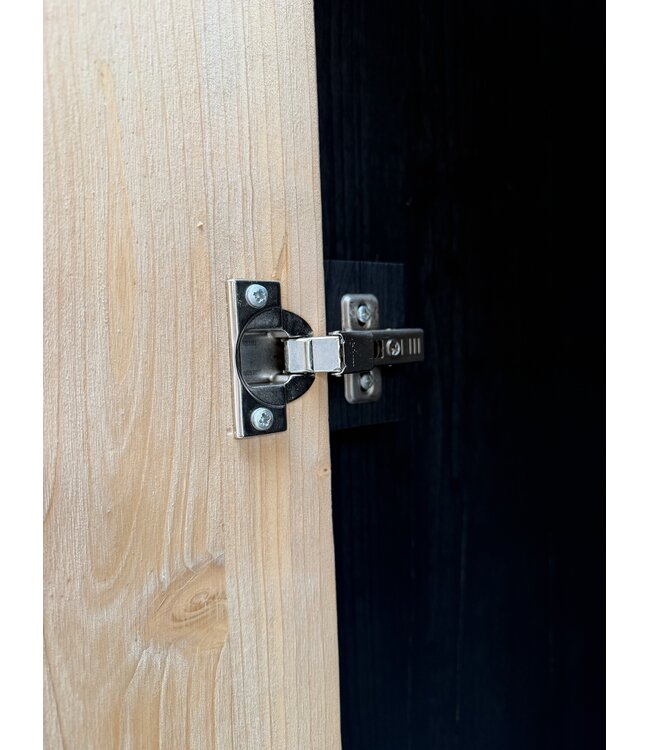 Barnwood wandkast op maat | Kast van oud hout uit de Alpen