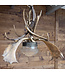 Antler pendant lamp | Austrian lamp