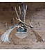 Gewei hanglamp | Oostenrijkse lamp