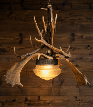 Antler pendant lamp | Austrian lamp